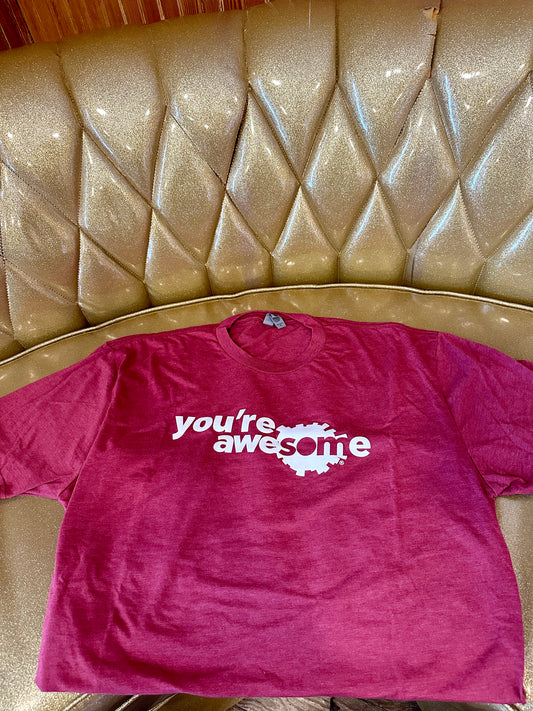 You're AweSOMe Shirt